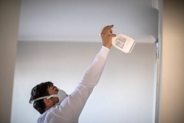 Best Residential Mold Removal  in Hawaiian Paradise Park, HI
